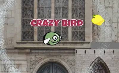 CrazyBird