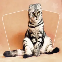 Cat Puzzle Memory Match thumbnail