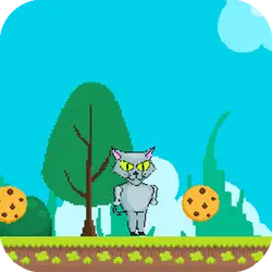 Kim Cat thumbnail