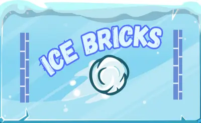 Ice Bricks