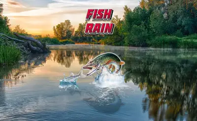 Fish Rain