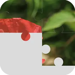 TenPuzzle thumbnail