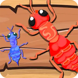 Ants thumbnail
