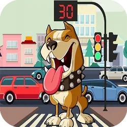 Pit Bull Avoid Traffic thumbnail