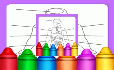 Hard Body Coloring For Kids 