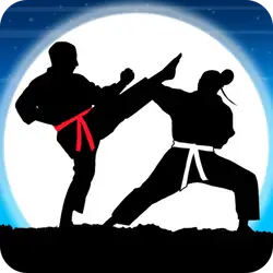 Karate Fighter Real Battles thumbnail