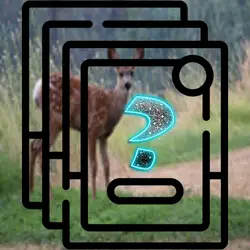 Deer Memory Match thumbnail