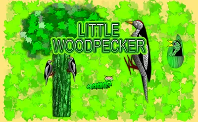 Little Woodpecker