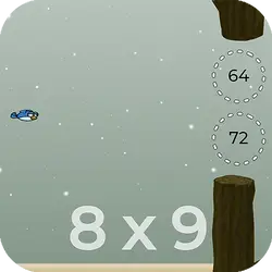 Equations Flapping thumbnail