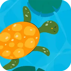 Turtle Math thumbnail