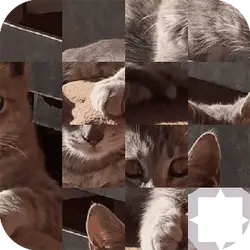 Cat Puzzle thumbnail