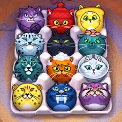 Cat Sorter Puzzle thumbnail